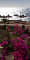 Sharm Club Beach Resort (ex Labranda Tower Bay Resort)