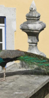 Solar do Castelo - Lisbon Heritage Collection