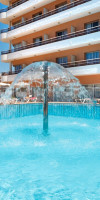 SORRA DAURADA SPLASH