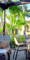 Suites & Villas By Dunas