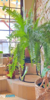 Sunlight House - B & B Faro