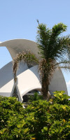 TENERIFE – Escapada tropicala PREMIUM TOURS