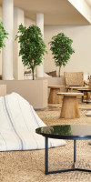 tent Torremolinos