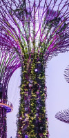THAILANDA - MALAEZIA - SINGAPORE: Experienta Asiatica! PREMIUM TOURS