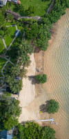 The Mangrove by Blu Monkey