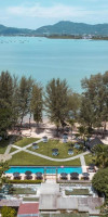 The Mangrove by Blu Monkey