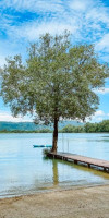 The Mangrove by Blu Monkey