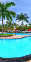 The Palms