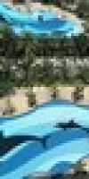 Thip Condotel F3 R339