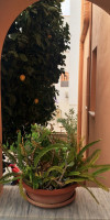 THODOROU STUDIOS