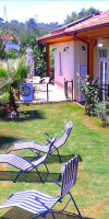 Three Palms Suites