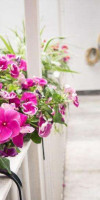 TOLEDO CLASS - B&B NAPLES