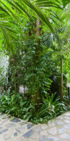 Tropica Bungalow Beach Hotel