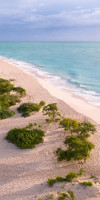 TRS Coral Hotel - Adults Only
