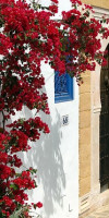 TUNISIA: Mirajul Africii de Nord | Circuit & Mini Sejur PREMIUM TOURS