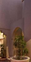 Turtle's Inn Hotel El Gouna