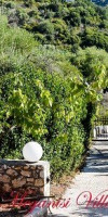 Meganisi Villa (Meganisi - Katomeri)