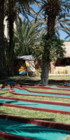 Nesrine (Hammamet)