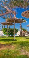 EIX PLATJA DAURADA