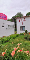 Liliacul