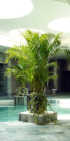 Sunrise Pearl Hotel Spa (Protaras)