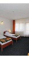 Hotel Paltinis