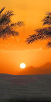 PREMIER LE REVE HOTEL SPA ( ADULT ONLY ) 5*