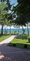 VILA 8