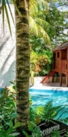 Grand Oasis Palm