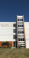 Callatis