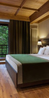 Hotel Bradul 