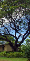Anelia Resort