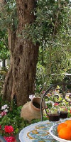 Villa Caterina