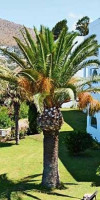 woxxi hotel Bodrum