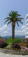 Cronwell Platamon Resort