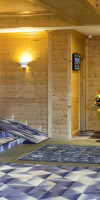 Hotel Bradul 