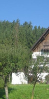 PENSIUNEA BUCOVINA LODGE