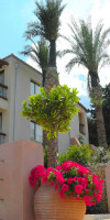 Ionian Blue Hotel (Nikiana)