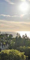 Jardin Tropical