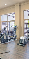 H10 Andalucia Plaza (Adults Only) (Marbella)