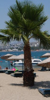 Hotel Jasmin Beach