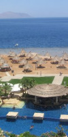 SHARM IN AMAREIN