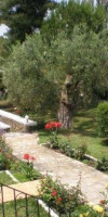 Porto Matina (Metamorfosi, Sithonia)