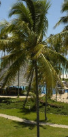OCEAN PARADISE RESORT (L)