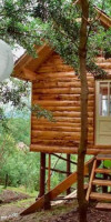 Cabana Transylvania Tree House (Pesteana)