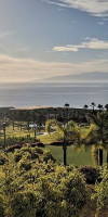 Jardin Tropical