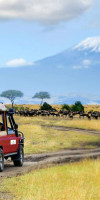 Safari Amboseli-Tsavo (3 nopti) + Diani Reef Beach (4 nopti)