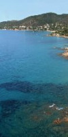 Stella di Mare