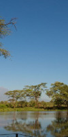 Safari Tsavo East - West (2 nopti) + Diani Reef Beach Resort (5