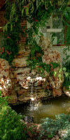 Insula